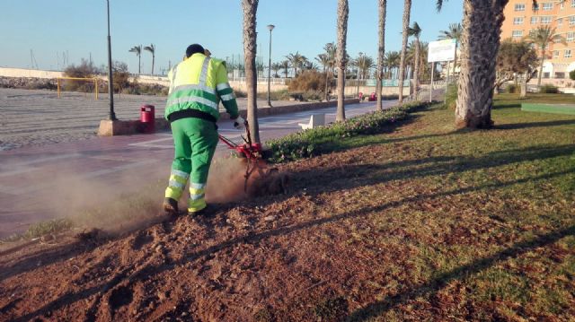 Más de 900.000 semillas resembrarán el césped en el municipio de Águilas - 1, Foto 1
