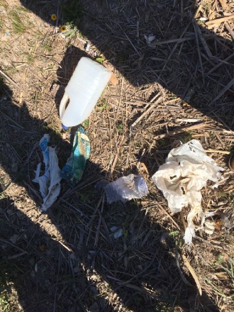 El PSOE peleará en el Pleno para que el entorno del río deje de ser un espacio desagradable e inseguro para miles de usuarios - 5, Foto 5