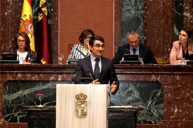 Aprobada la propuesta de Ciudadanos para constituir una comisión de seguimiento del Plan de Recuperación de Suelos Afectados por la Minería con representantes de los municipios - 1, Foto 1
