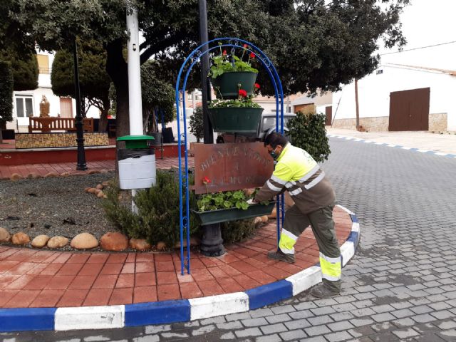Más de 10.000 flores de temporada mejoran la imagen de zonas verdes y maceteros de las pedanías de Murcia - 1, Foto 1