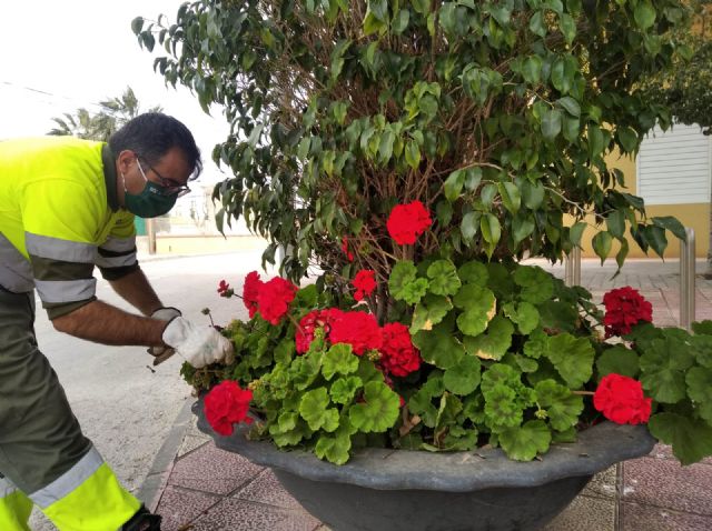 Más de 10.000 flores de temporada mejoran la imagen de zonas verdes y maceteros de las pedanías de Murcia - 2, Foto 2