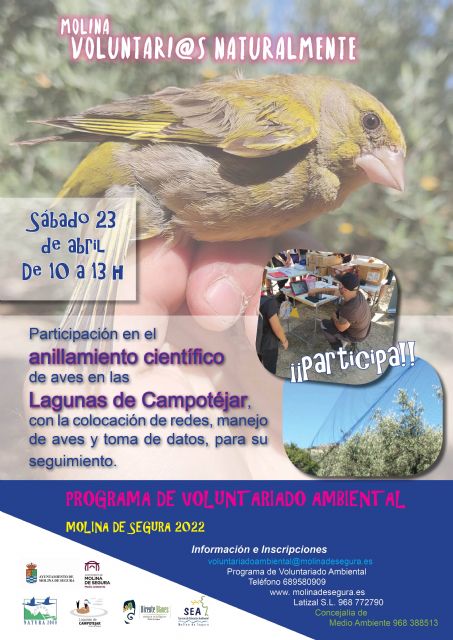 El Programa de Voluntariado Ambiental ¡Molina, Voluntarios/as Naturalmente! propone una actividad de anillamiento de aves en Las Lagunas de Campotéjar el sábado 23 de abril - 1, Foto 1