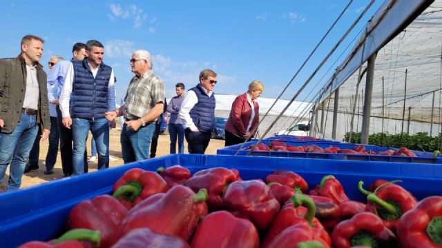 La Comunidad pone en marcha el operador agroambiental para garantizar la aplicación de las normas de protección del Mar Menor - 1, Foto 1
