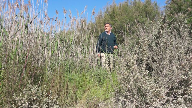 El PP propone aprovechar el periodo entre mayo y agosto para limpiar y desbrozar los cauces de las ramblas en el término municipal de Lorca - 3, Foto 3