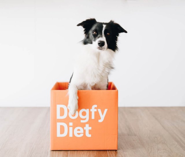 Dogfy Diet inaugura nuevas instalaciones de más de 3.000m2 para su expansión por Europa - 1, Foto 1
