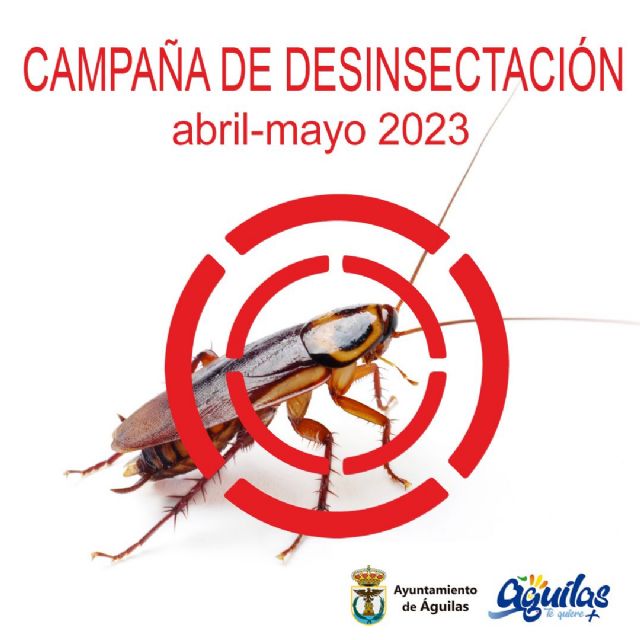 En marcha un año más la Campaña de Desinsectación contra las cucarachas - 1, Foto 1