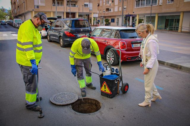 El Ayuntamiento realiza una actuación extraordinaria contra roedores en las inmediaciones del Residencial Miguel Ángel - 1, Foto 1