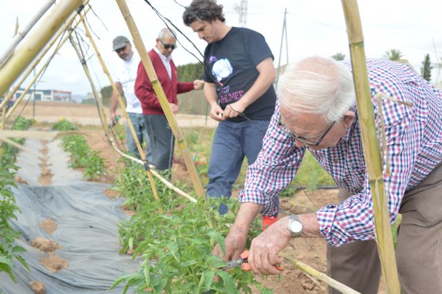Enfermos de Alzheimer recolectan experiencias en los huertos de ocio de la Politécnica de Cartagena - 1, Foto 1