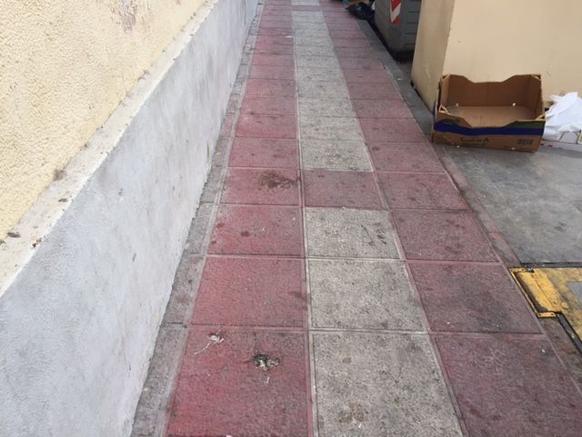 El PSOE propone limpiar barrios como el de Vistabella más allá de lo que ve la suegra - 2, Foto 2