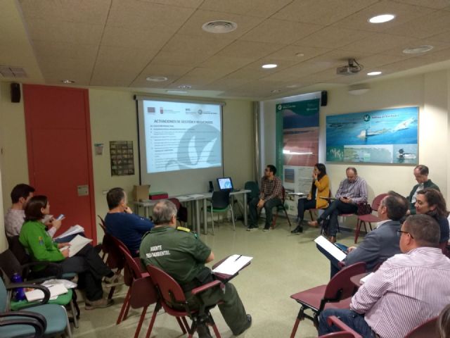 El Parque Regional de las Salinas de San Pedro alberga más de 1.200 parejas reproductoras de aves acuáticas - 1, Foto 1