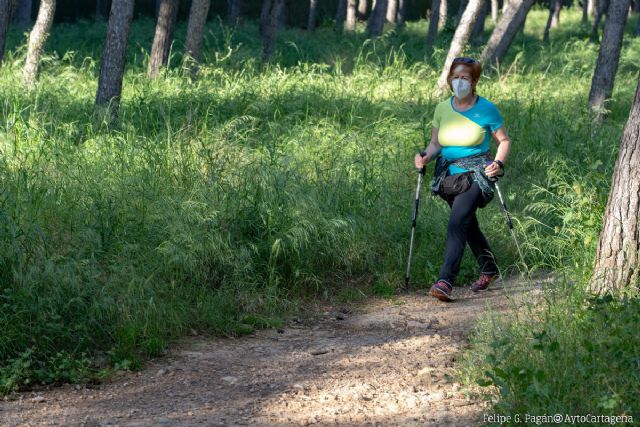 La alcaldesa propondrá la eliminación de las restricciones horarias para once diputaciones - 1, Foto 1