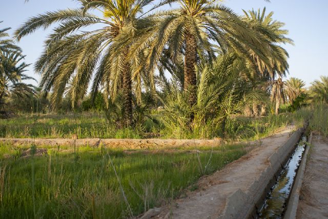 SanLucar recibe el premio estatal por su compromiso social en Túnez - 1, Foto 1