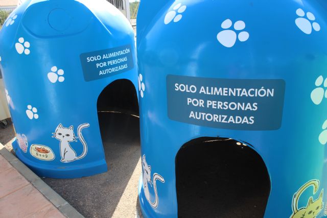 El Ayuntamiento de Puerto Lumbreras reacondiciona dos contenedores en desuso como cobijo y refugio felino - 5, Foto 5
