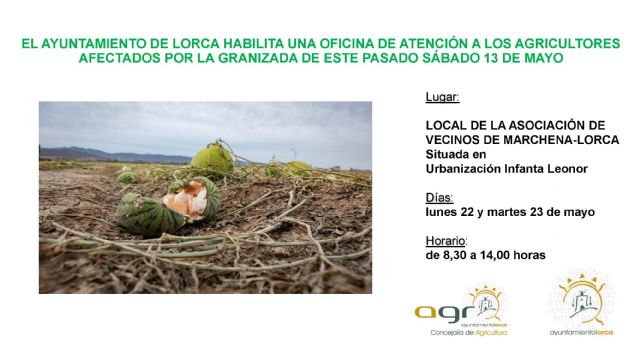 La oficina de atención a los agricultores afectados por la granizada del pasado sábado abrirá los días 22 y 23 de mayo en el local social de Marchena - 1, Foto 1