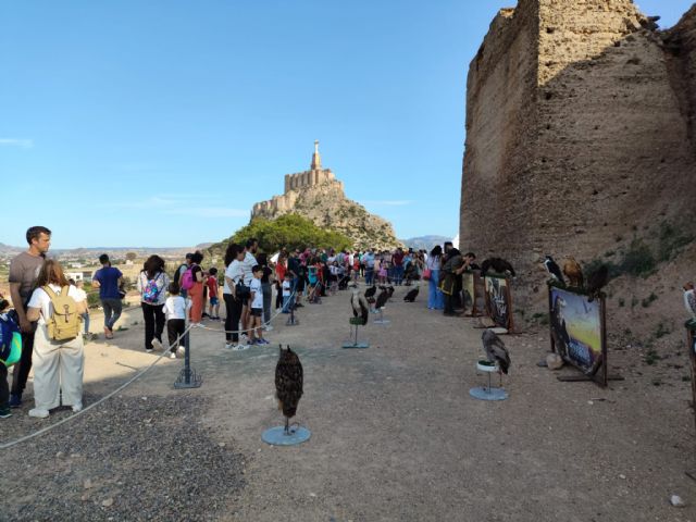 Medio millar de personas han disfrutado de las visitas teatralizadas nocturnas en el Palacio Ibn Mardanís por el Día Internacional de los Museos - 1, Foto 1