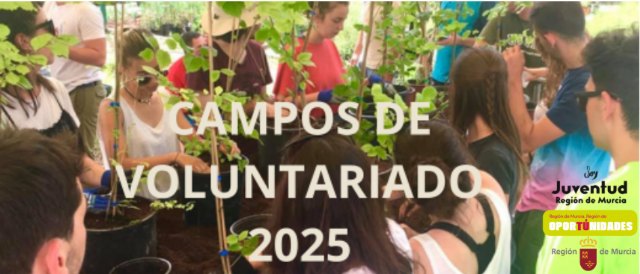 La Comunidad Autónoma promueve la participación en campos de voluntariado juvenil durante el verano - 1, Foto 1