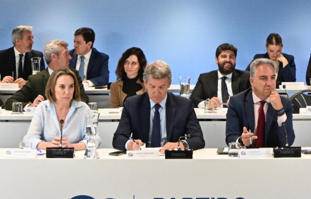López Miras: El PP que salga de este congreso será el que gobierne España en los próximos años - 1, Foto 1