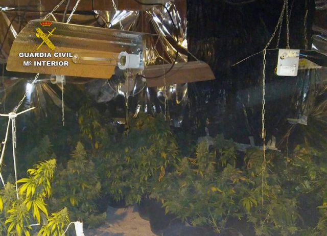 La Guardia Civil desmantela en Pliego una plantación indoor de marihuana - 1, Foto 1