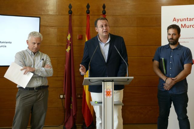 El Ayuntamiento realizará un diagnóstico en profundidad del ficus de Santo Domingo para determinar las medidas necesarias para su conservación - 1, Foto 1