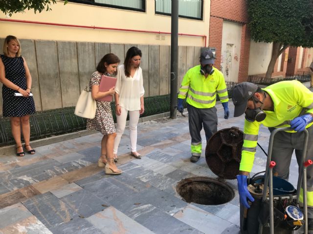 La campaña de control antivectorial de la concejalía de Sanidad informa a los ciudadanos semanalmente de la realización de los trabajos en cada enclave del municipio - 1, Foto 1