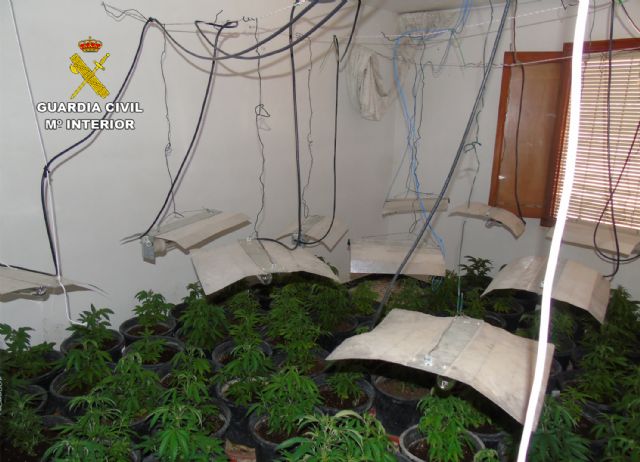 La Guardia Civil desmantela un invernadero clandestino de marihuana en Bullas - 1, Foto 1