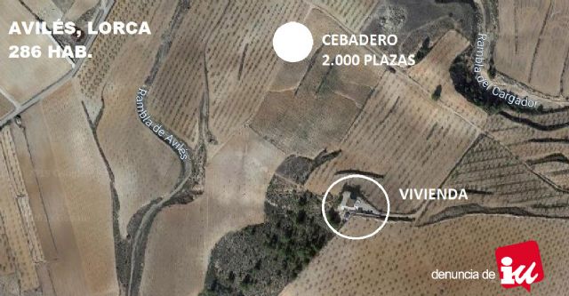 IU-Lorca denuncia la autorización de otra macrogranja porcina en Avilés - 1, Foto 1