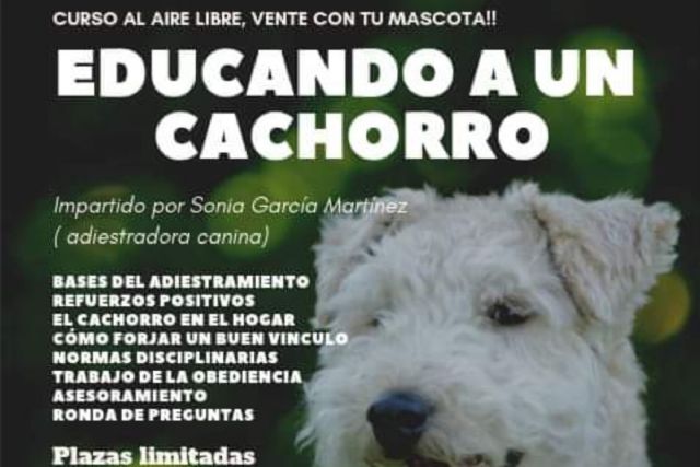 Aprende a adiestrar a tu cachorro este sábado en el parque de La Rambla - 1, Foto 1