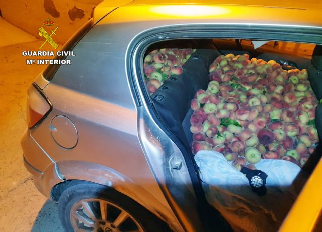 La Guardia Civil recupera más de media tonelada de melocotones en Cieza - 1, Foto 1