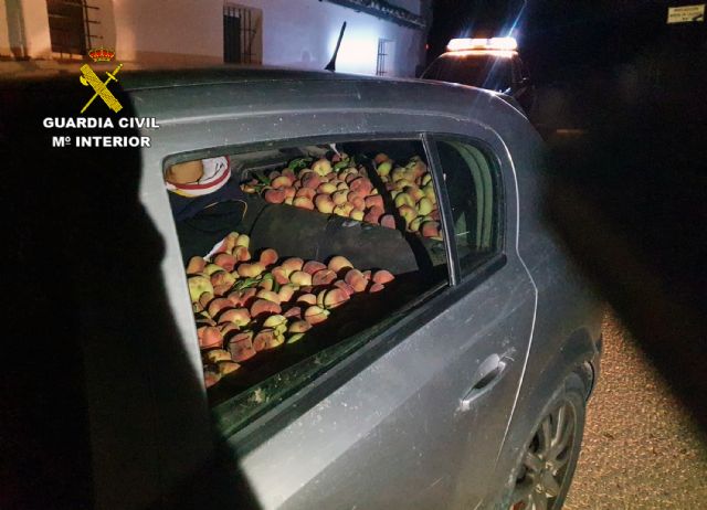 La Guardia Civil recupera más de media tonelada de melocotones en Cieza - 3, Foto 3