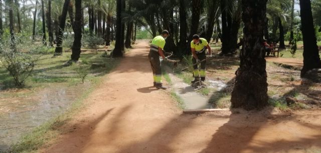 El Palmeral de Santiago y Zaraiche conserva el método de riego tradicional - 1, Foto 1