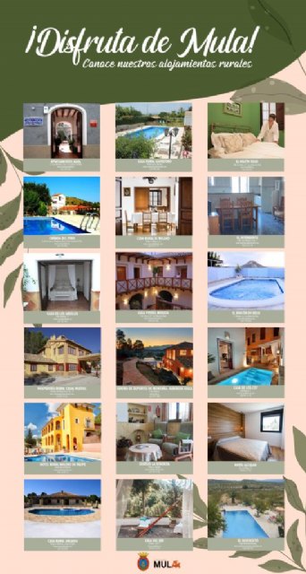 La Concejala de Turismo visita los alojamientos de Mula - 1, Foto 1