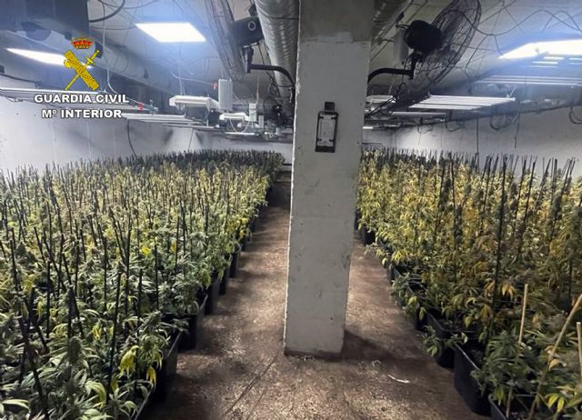 Desmantelan dos búnkers con más de 2.000 plantas y 30 kilos de cogollos de marihuana bajo dos invernaderos de plantas ornamentales - 1, Foto 1