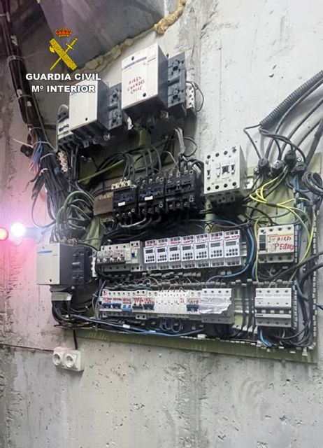 Desmantelan dos búnkers con más de 2.000 plantas y 30 kilos de cogollos de marihuana bajo dos invernaderos de plantas ornamentales - 3, Foto 3