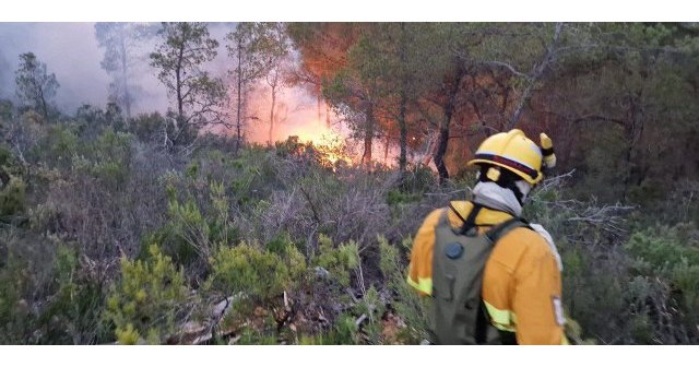 Foto del conato de incendio en El Berro (Alhama de Murcia)  facilitada por la Unidad de Defensa contra los Incendios Forestales, Foto 1
