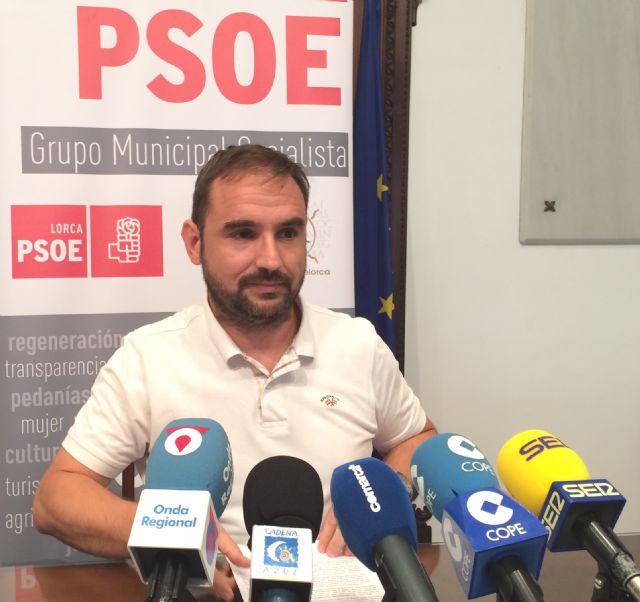 El PSOE reclama más transparencia y planificación a la hora de conceder las subvenciones municipales al tejido asociativo - 1, Foto 1