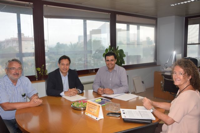 El SEF y el Colegio de Ingenieros Industriales refuerzan su colaboración - 1, Foto 1