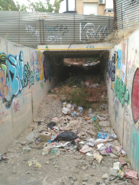 Izquierda Unida-Verdes Alcantarilla denuncia el estado de suciedad y abandono en el que se encuentra el municipio - 5, Foto 5