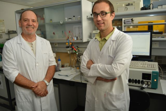 Un doctor de la UPCT, premio nacional a la mejor tesis doctoral de Electroquímica - 2, Foto 2