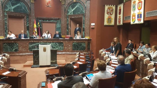 El PSOE satisfecho con el acuerdo alcanzado en la Asamblea para agilizar la resolución de los expedientes y ampliar el plazo de justificación de las ayudas - 3, Foto 3