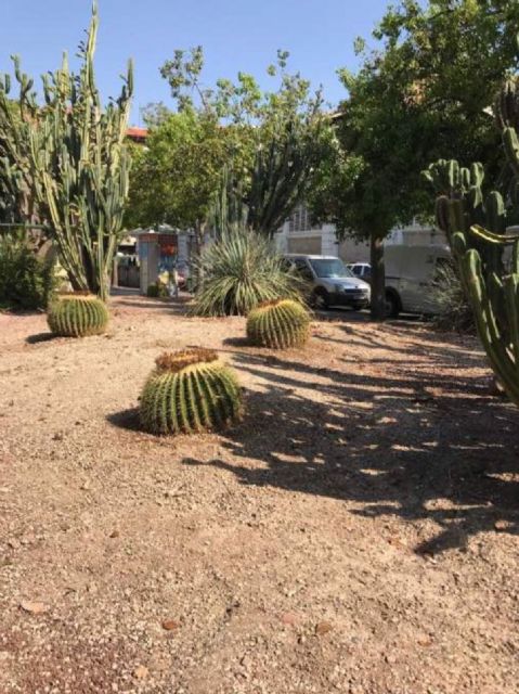 100 cactus de gran tamaño decorarán los jardines de Murcia - 3, Foto 3
