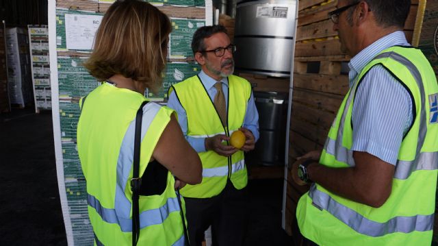 Cartagena se consolida como el principal puerto europeo de exportación de animales vivos, con 270.000 cabezas en 2019 - 1, Foto 1