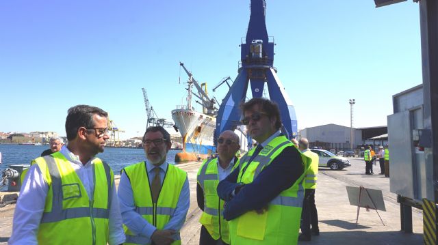 Cartagena se consolida como el principal puerto europeo de exportación de animales vivos, con 270.000 cabezas en 2019 - 2, Foto 2