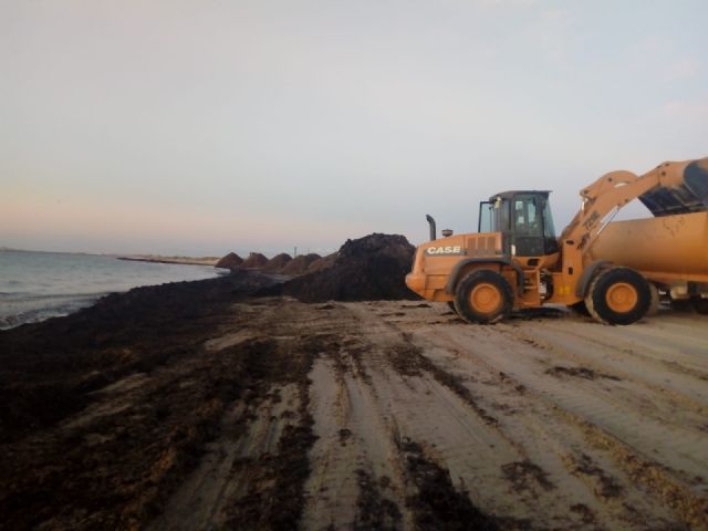 San Pedro del Pinatar destina más de medio millón de euros al refuerzo de los servicios básicos durante el verano - 2, Foto 2