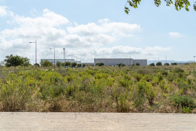 Urbanismo autoriza la construcción de un centro de distribución farmacéutico en Los Camachos - 1, Foto 1
