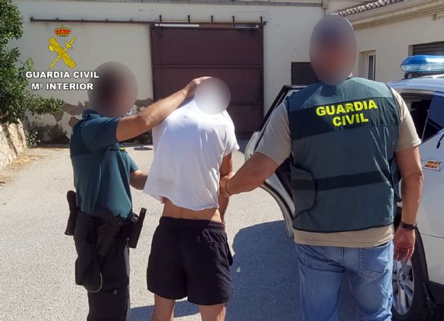 La Guardia Civil desarticula un grupo delictivo dedicado a cometer robos en la zona rural de Mula - 3, Foto 3