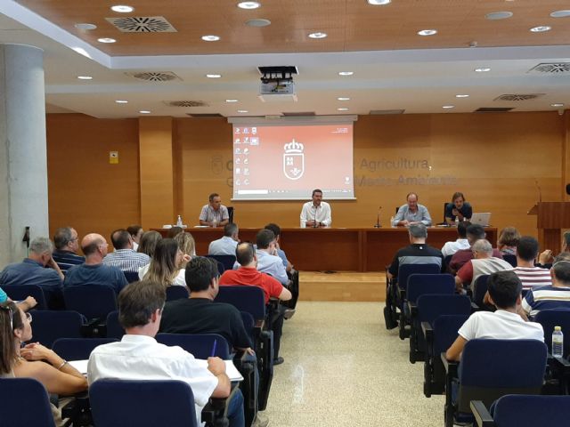 Nueva regulación de las Organizaciones de Productores de Frutas y Hortalizas (OPFH) - 1, Foto 1