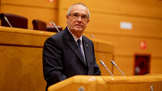 Marín explica en el Senado las medidas de VOX para proteger de las agresiones sexuales - 1, Foto 1