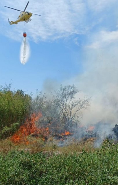 Incendio de vegetación en Carril Claras – Monteagudo, junto a subestación eléctrica - 1, Foto 1