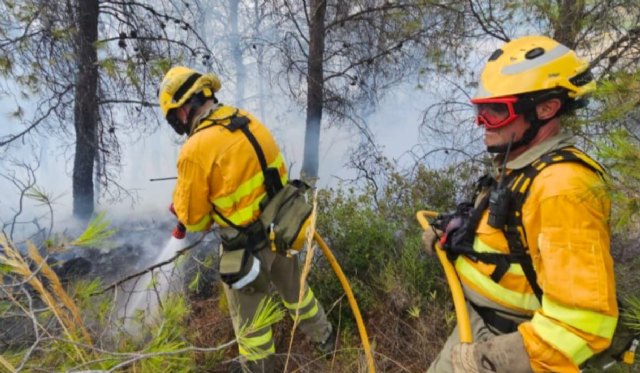 Incendio forestal en Caravaca de la Cruz - 1, Foto 1