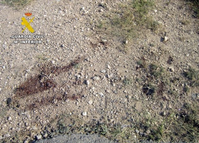 Investigan en Moratalla a un hombre por arrastrar con un coche a un burro hasta herirlo gravemente - 4, Foto 4